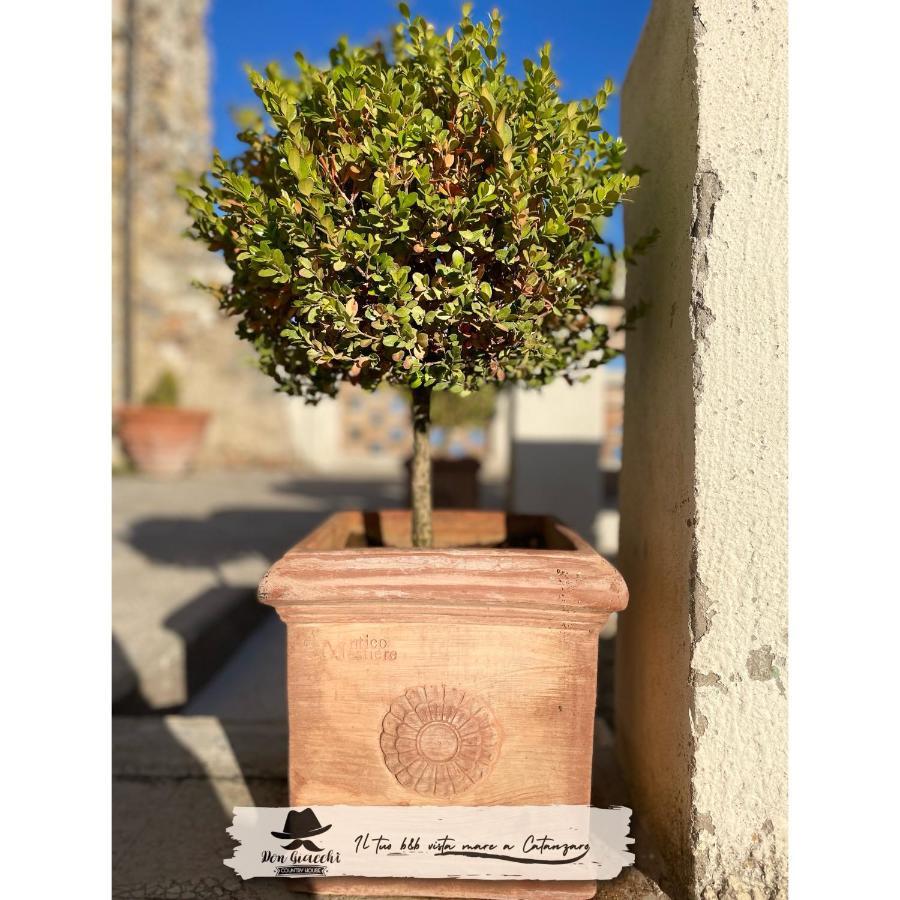 Don Giacchi Country House Catanzaro Dış mekan fotoğraf