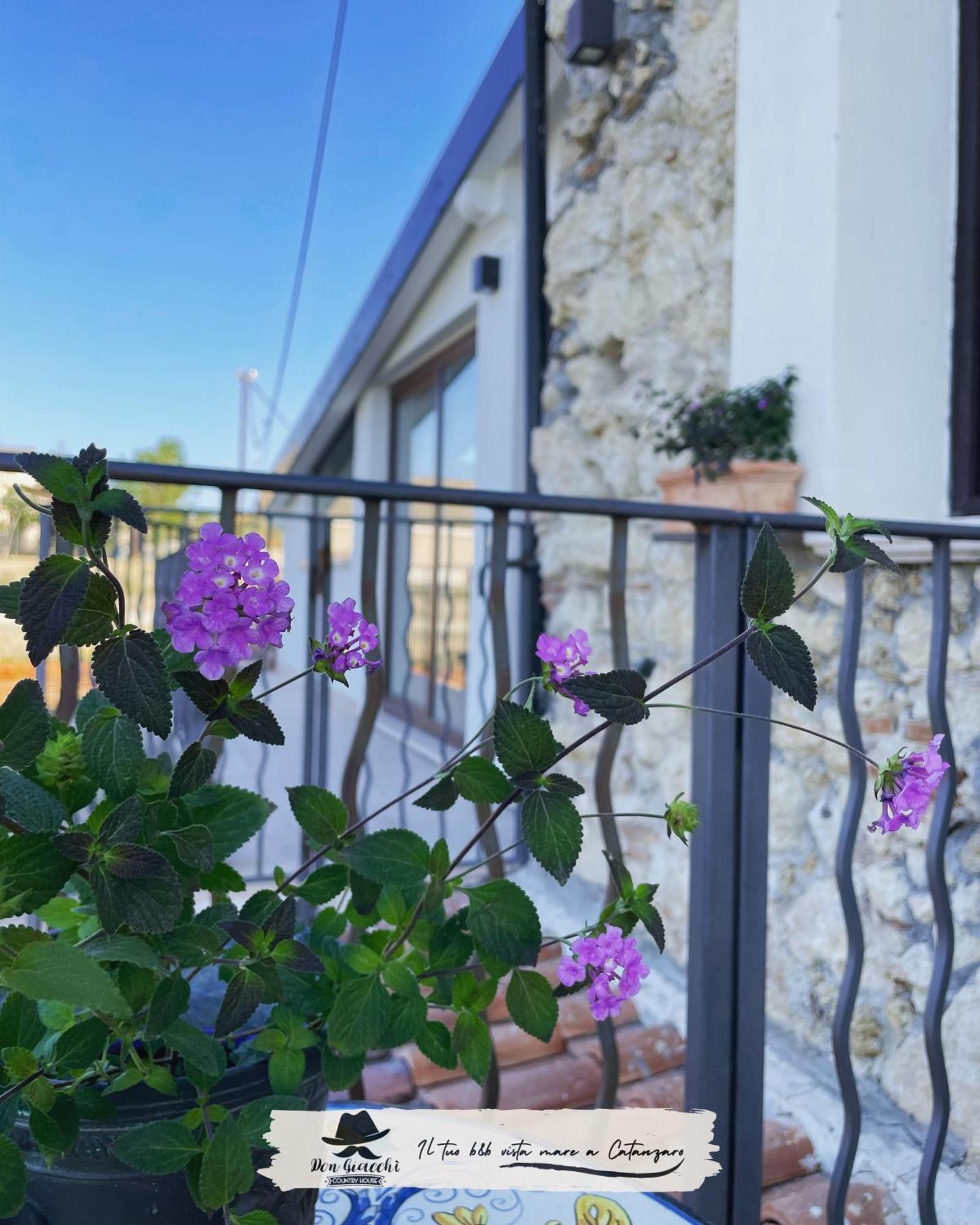 Don Giacchi Country House Catanzaro Dış mekan fotoğraf