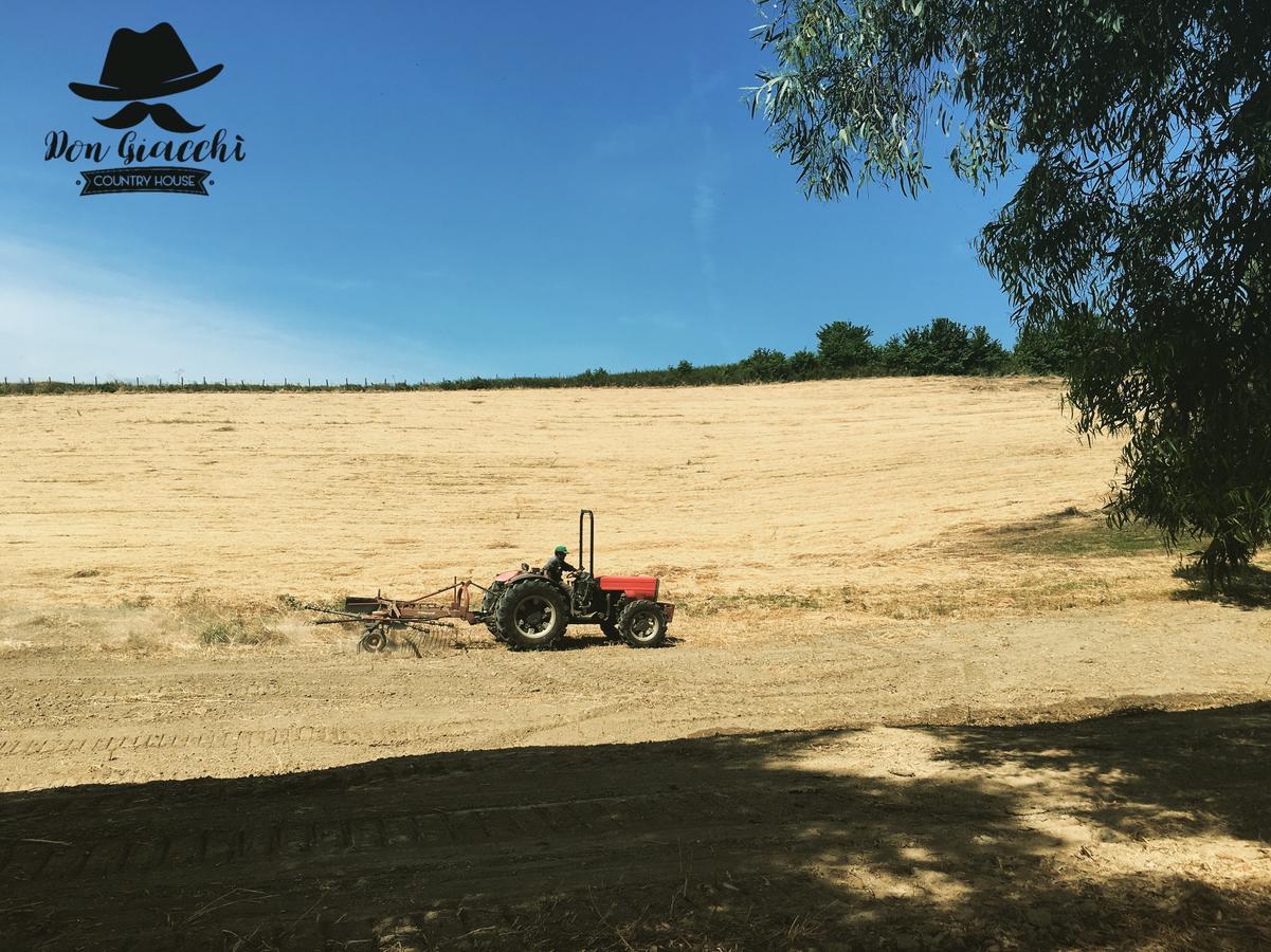 Don Giacchi Country House Catanzaro Dış mekan fotoğraf